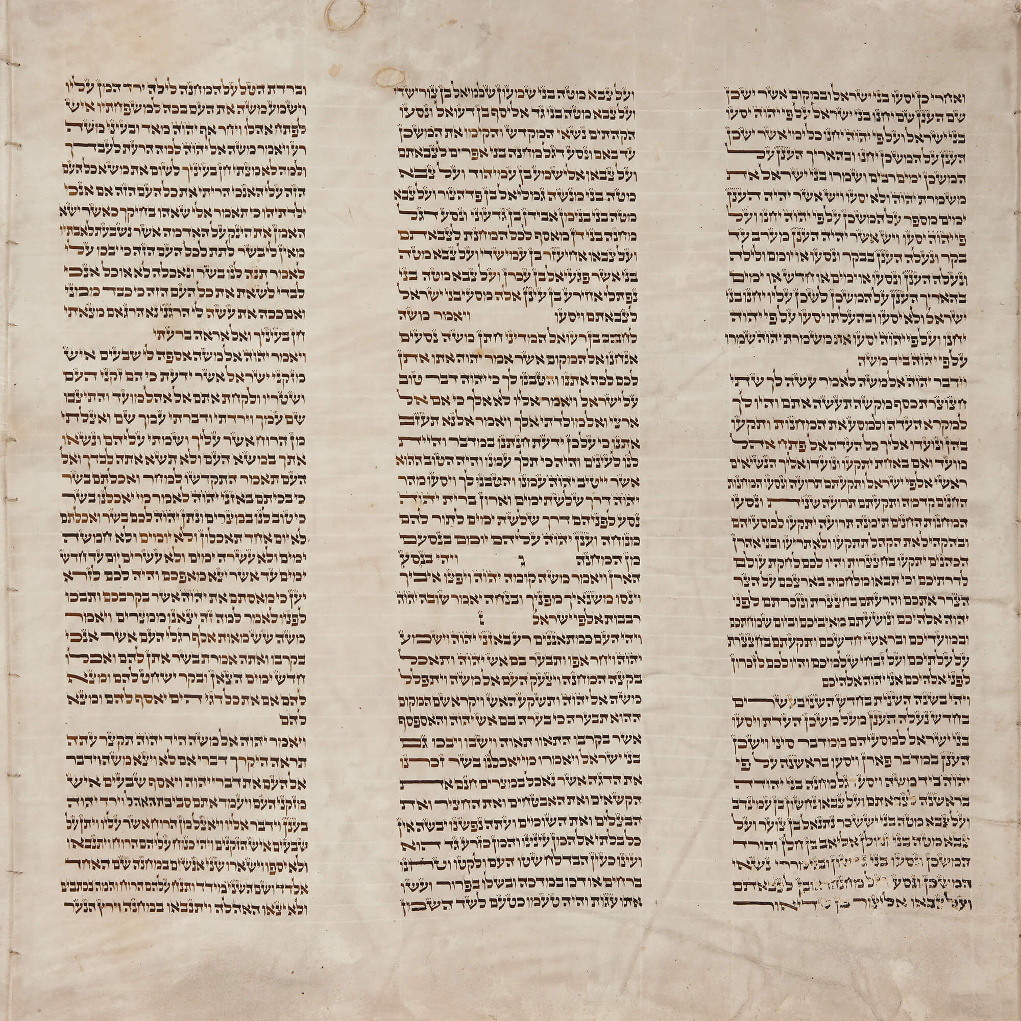 Recent Acquisition: Sefer Torah Scroll Fragments