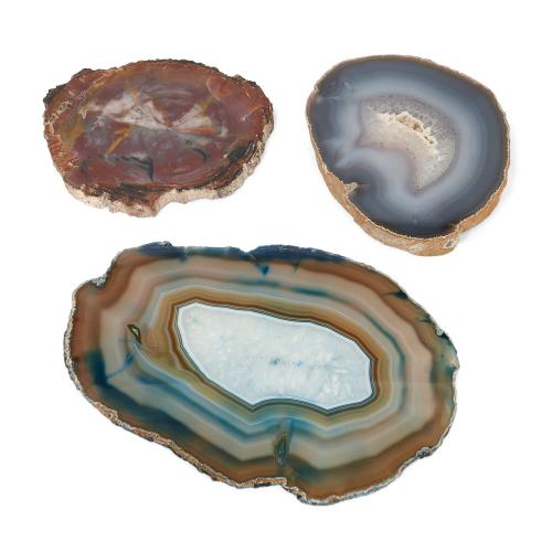 Collection of agate and petrified wood specimens 