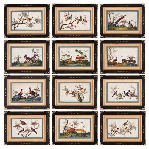 Set of twelve Chinese pith paintings depicting exotic birds  